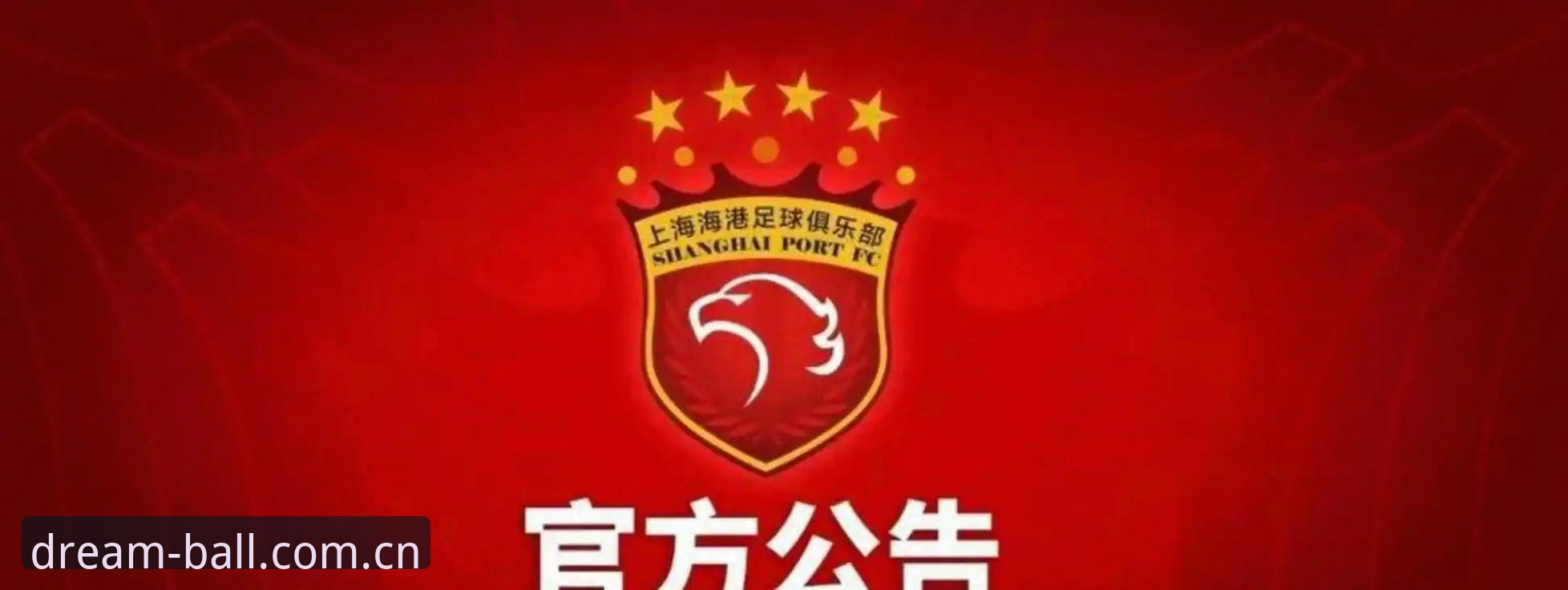 解读足协第三批禁足名单的实用指南：从处罚细节看中国足球行业规范